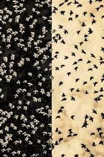 Jorge Omeñaca - Birds & Birds - FRAMED, Antiek en Kunst, Kunst | Schilderijen | Modern