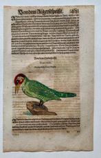 World - wereld; Conrad Gesner - Vogelbuch - 1581-1600, Nieuw