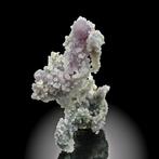 Insolite ! Agate de raisin vert et violet en calcédoine –