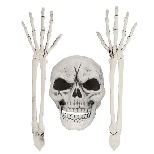 Halloween Skelet Schedel En Armen, Hobby & Loisirs créatifs, Articles de fête, Envoi