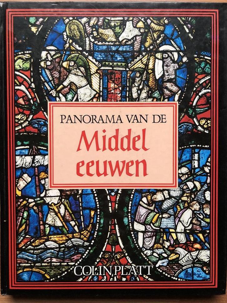 Panorama van de Middeleeuwen 9781197401467 Colin Platt, Boeken, Overige Boeken, Gelezen, Verzenden
