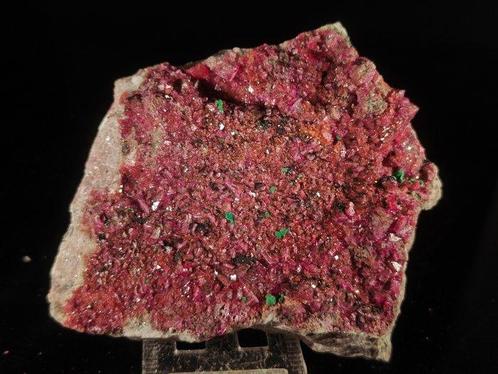 Kobalt Calciet Kristallen op matrix - Hoogte: 7 cm -, Verzamelen, Mineralen en Fossielen