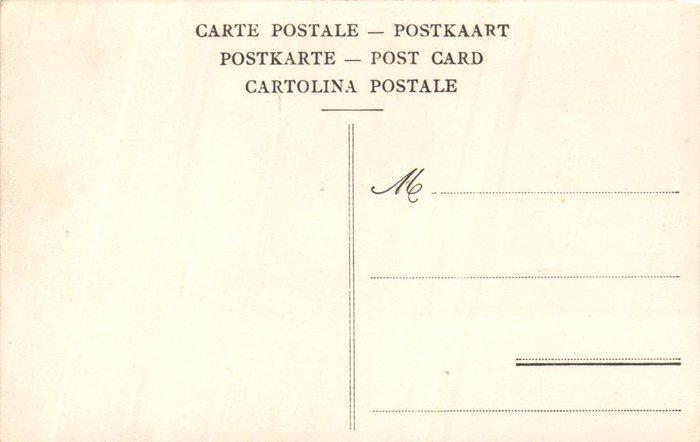 België - Katten -Compl. serie (12 )Cacao de Beukelaar, Collections, Cartes postales | Étranger