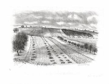 André Jacquemin (1904-1992) - Lot de 2 Gravures originales - beschikbaar voor biedingen