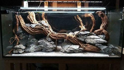 Golden wood 70-90cm, Dieren en Toebehoren, Vissen | Aquaria en Toebehoren, Nieuw, Verzenden