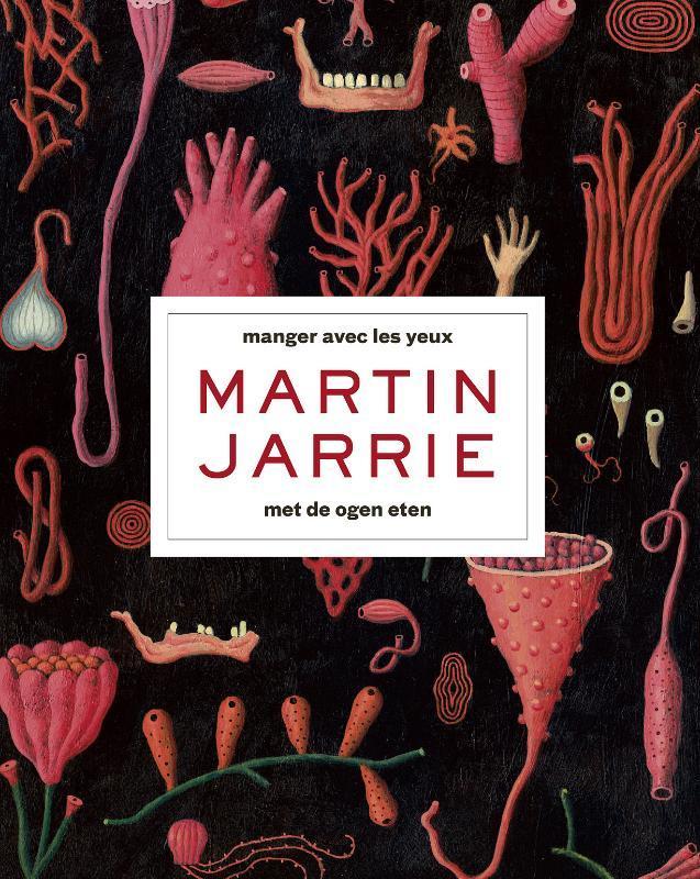 Martin Jarrie 9789056156213 Hans Boer, Livres, Art & Culture | Arts plastiques, Envoi