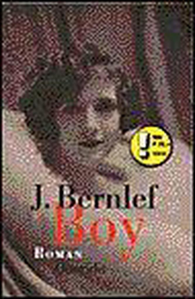 Boy 9789021452531 J. Bernlef, Boeken, Romans, Gelezen, Verzenden