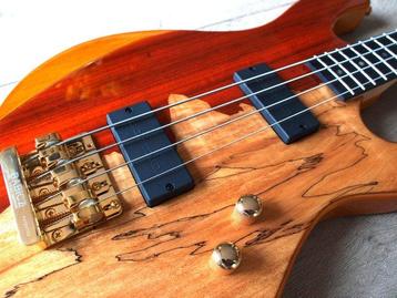 Cort - Jeff Berlin Rithimic Signature (brand new) - -, Musique & Instruments