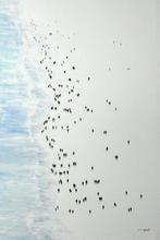 Elisabeth Calderer - Shoreline drift XL