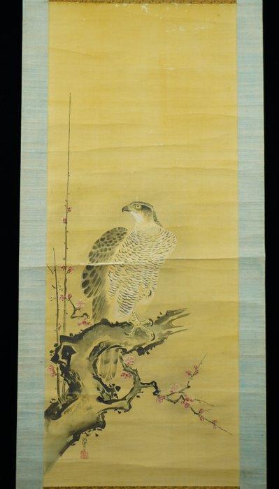 Hawk on Ume tree free shipping - Ogata Tosho (1791-1863), Antiek en Kunst, Antiek | Overige Antiek