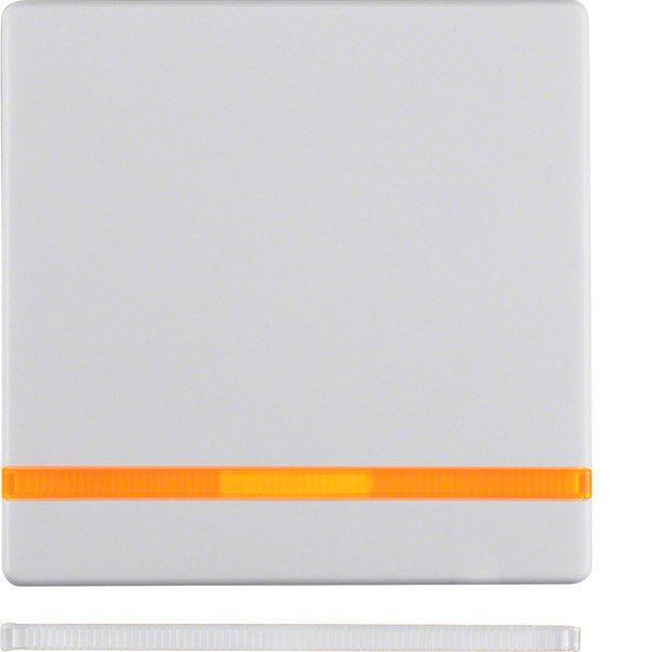 Hager Berker Q.1/Q.3 Control Element/Central Plate, Bricolage & Construction, Électricité & Câbles, Envoi