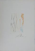 Salvador Dali (1904-1989) - Décaméron : Le diable en Enfer