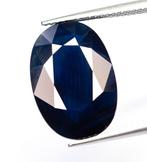 Zonder minimumprijs Saffier - 12.55 ct - Lotus Gemology -