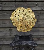 Decoratief ornament - Coral Gold op basis, Antiek en Kunst, Curiosa en Brocante