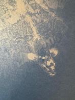 Paul Cupido (1972) - Karper in concert Geen Reserveprijs