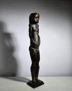 sculptuur - Fang-reliekschrijn - Gabon, Antiek en Kunst