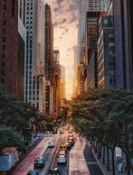 Fabian Kimmel - Summer in the City, New York, Collections
