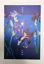 Antonio Nunziante (1956) - Danzano i fiori 70x50 cm