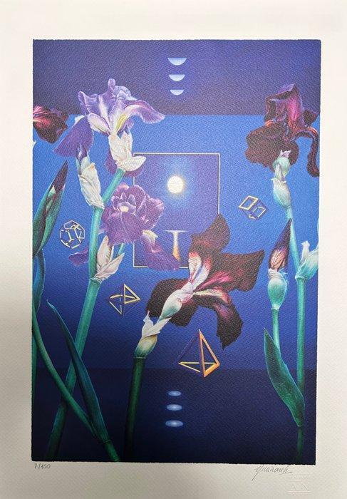 Antonio Nunziante (1956) - Danzano i fiori 70x50 cm, Antiek en Kunst, Antiek | Overige Antiek