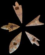 Néolithique Silex magnifique collection pointe fleche lance, Antiquités & Art