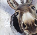 Gala - Donkey painting ~On the wall~