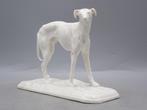 Nymphenburg - After Pierre Jules Mène - Figure - Greyhound -