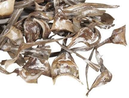 Palm salsa mini White Tip 200 gram, Maison & Meubles, Accessoires pour la Maison | Plantes & Fleurs artificielles