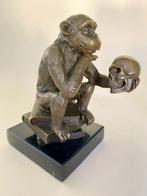 After Hugo Rheinhold - Beeld, Darwin monkey with skull -