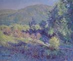 Chris van Dijk (1952) - Impressionist   Ardeche