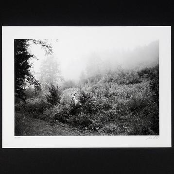Frank Machalowski - tierwald#57