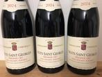 2024 Domaine Chevillon Chezeaux Aux Champs Perdrix - Nuits, Collections, Vins