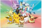 Hole in the Wall Pokémon Maxi Poster-Eeveelutions (Diversen), Verzamelen, Ophalen of Verzenden, Nieuw