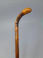 Wandelstok - Bamboe - Bamboe wortelhandvat, Antiek en Kunst