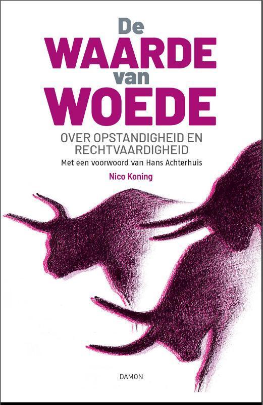 De waarde van woede 9789463402965 Nico Koning, Boeken, Filosofie, Zo goed als nieuw, Verzenden