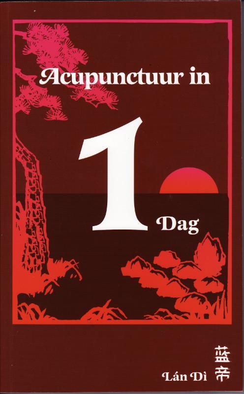 Acupunctuur in een dag 9789079212019 P.C. van Kervel, Boeken, Literatuur, Gelezen, Verzenden