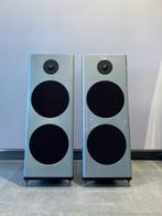 Spatial Audio Lab M4 Silver Grey Metallic highend audio spea, Ophalen of Verzenden, Overige typen