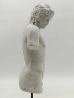 Sculpture, Torso di Eros - 47 cm - poudre de marbre