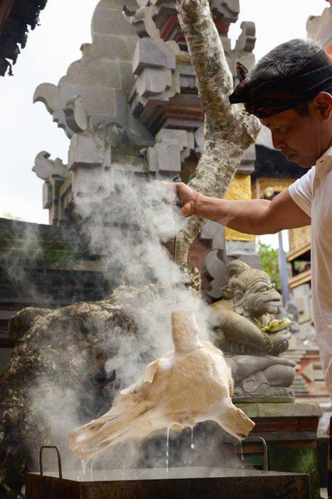 PAS DE PRIX DE RÉSERVE - Tête de buffle blanc sculptée à la, Antiek en Kunst, Kunst | Designobjecten