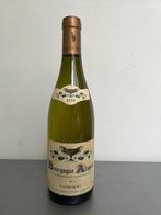 2019 Coche-Dury Aligote - Bourgogne - 1 Fles (0,75 liter), Nieuw