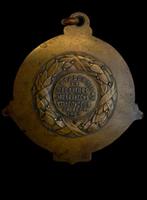 Brons, Curieuze en enorme Franse herdenkingsmedaille uit