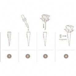 Corsagehouder Flowerdarte DOOS 10st - zilver Corsagehouder, Hobby en Vrije tijd, Knutselen, Nieuw