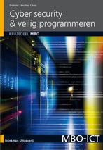 Cyber security & veilig programmeren / mbo / MBO ICT, Boeken, Studieboeken en Cursussen, Verzenden, Zo goed als nieuw, Gabriel Sánchez Cano