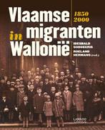 Vlaamse migranten in Wallonië 1850-2000 9789020995688, Boeken, Zo goed als nieuw, Idesbald Goddeeris, Idesbald Goddeeris, Verzenden