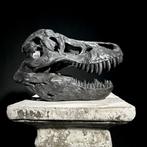 Een replica van een dinosaurusschedel - Tyrannosaurus Rex -