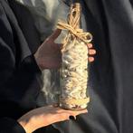 Boodschap uit de Zee - Glasfles met Natuurlijke Schelpen -, Verzamelen
