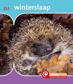 Winterslaap / De Kijkdoos / 212 9789463416061 Minke van Dam, Boeken, Verzenden, Gelezen, Minke van Dam