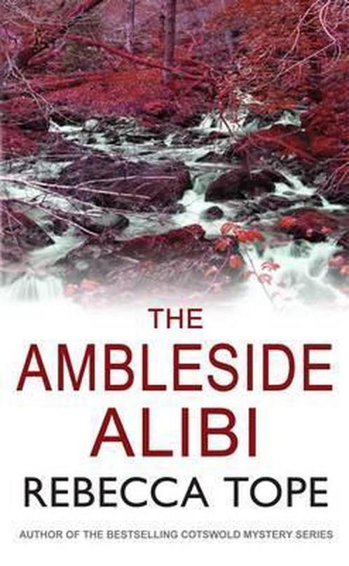 The Ambleside Alibi (Lake District Mysteries)-Rebecca Tope, Livres, Livres Autre, Envoi