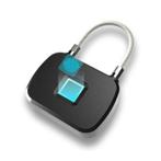 L13 Hangslot Vingerafdruk - 10 Sets Fingerprints -