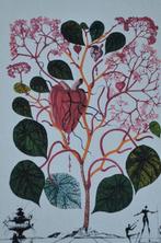 Salvador Dali (1904-1989) - Begonia - Flordali Serie -
