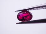 1 pcs Rood Robijn - 1.04 ct - Lotus Gemology, Nieuw
